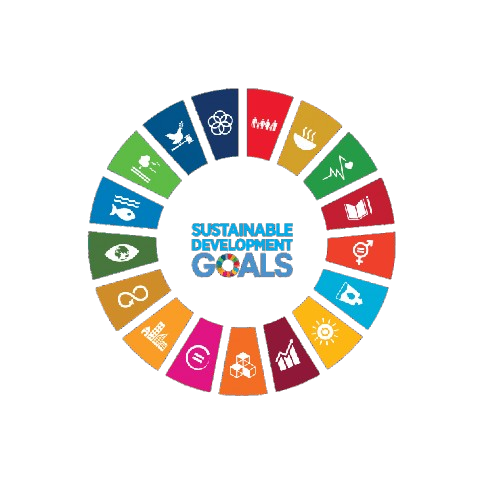 SDG Wheel